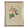 Illustration florale