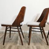 Dining Chairs by Radomir Hoffman for Ton, 1950s, Set of 4