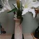 Vintage Alabaster Vase Hand-Carved - Bayca Edition