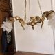 Golden bronze lustre with musical cherubs in vintage Louis XV style - lighting