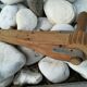 Wooden crecelle