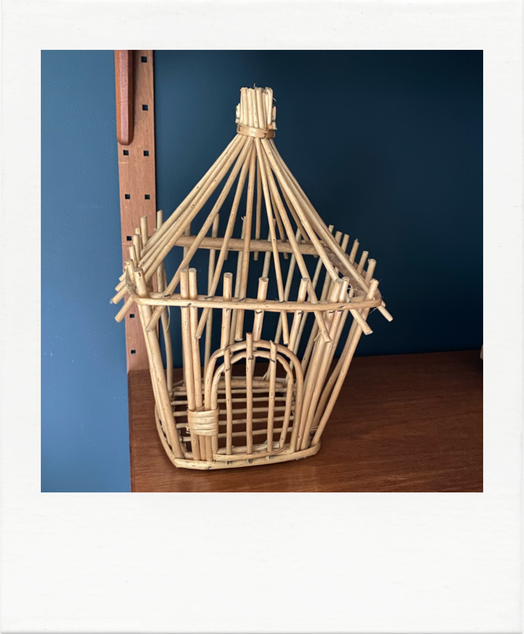 Old bird cage