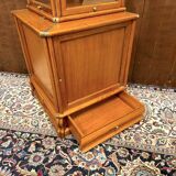 Original Globe Wernicke English Display Museum Cabinet