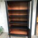 Showcase cabinet of curiosities black and wood