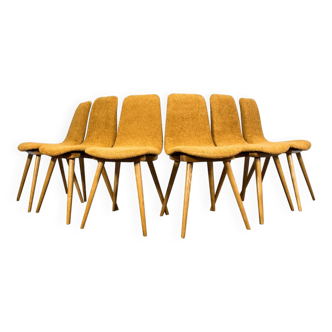 Lot de 6 chaises, A-6150 par FAMEG, Pologne, années 1960