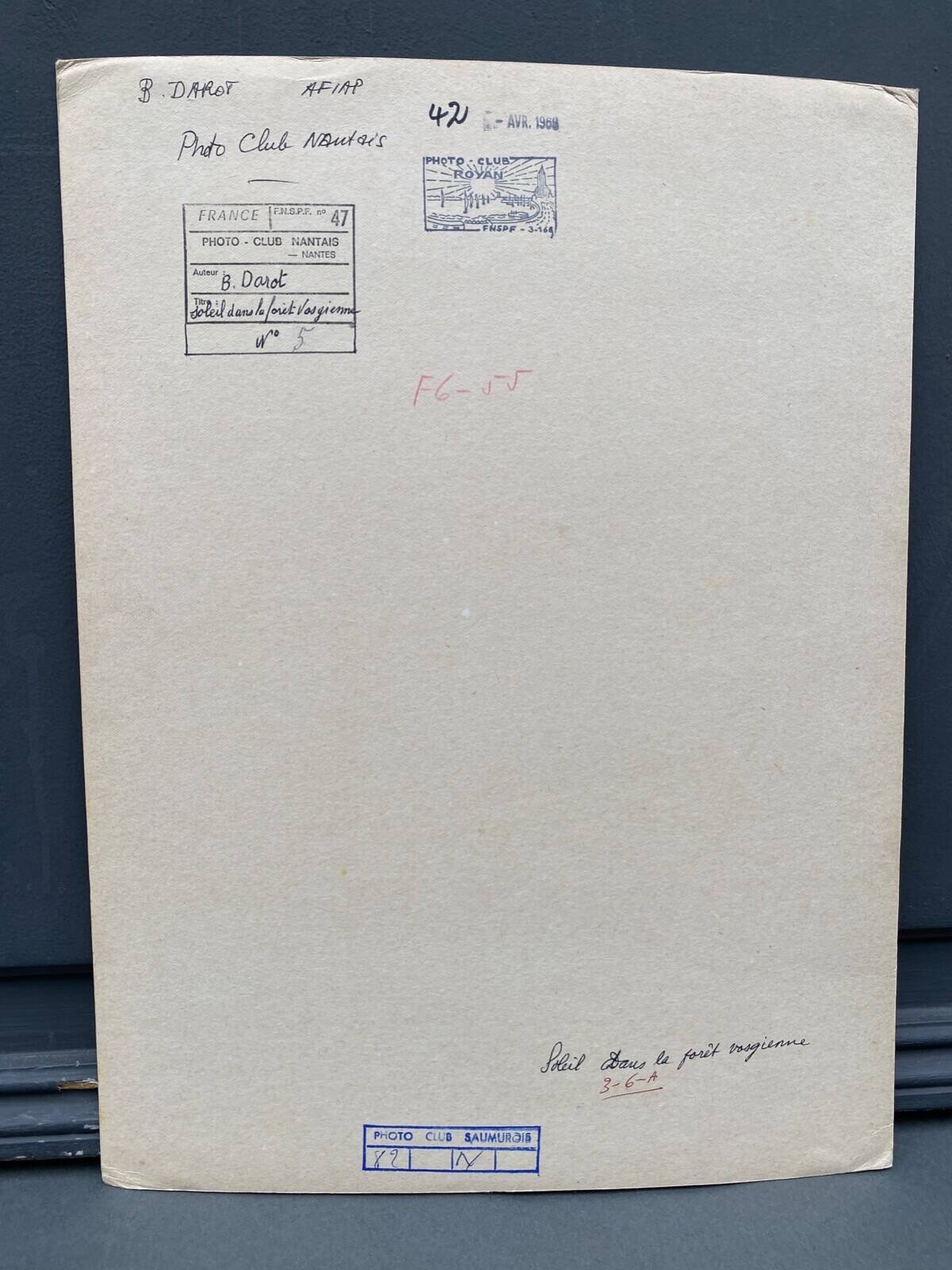 Silver gelatin photograph by Bernard Darot AFIAP. Sun in the Vosges Forest