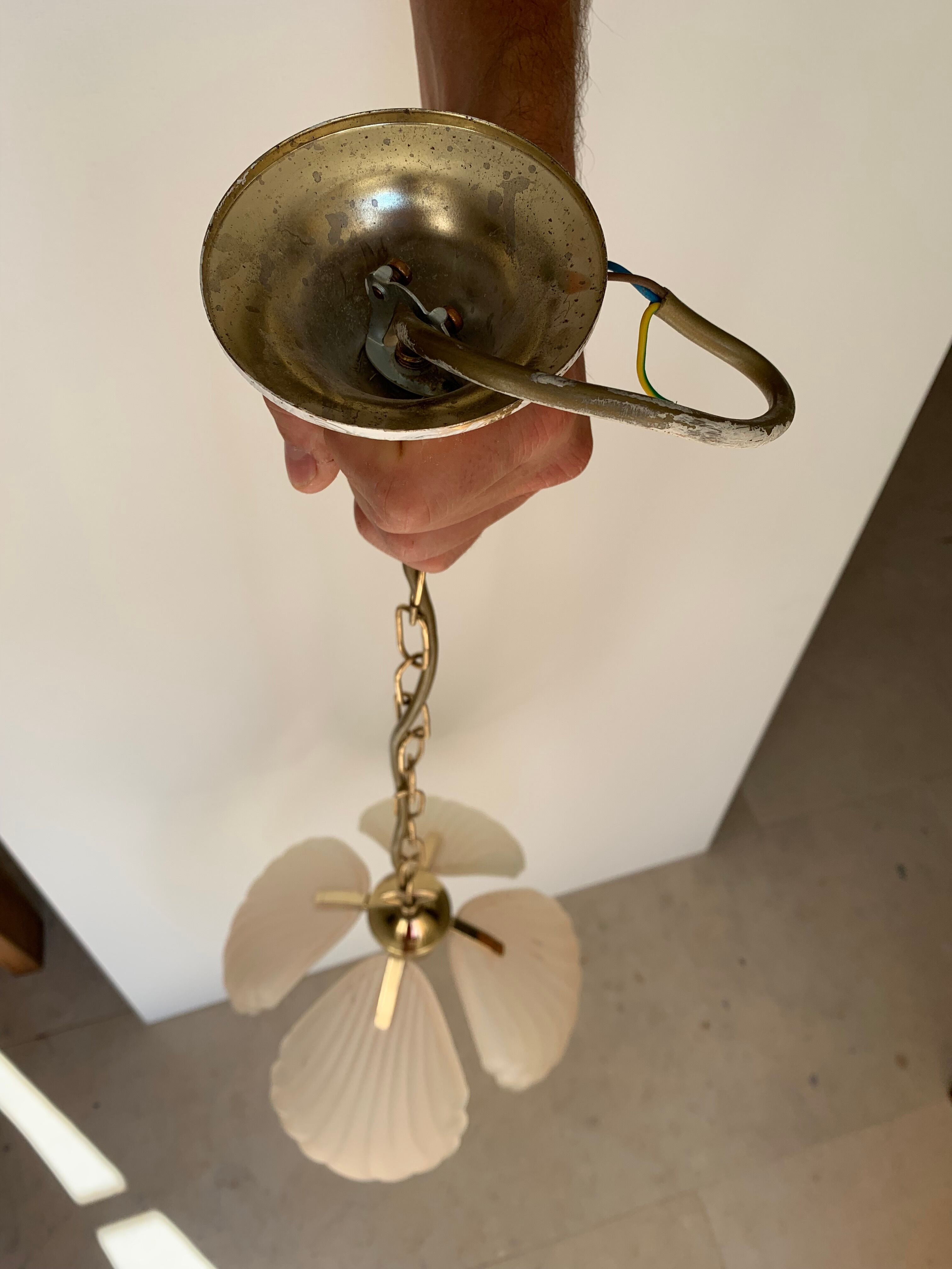 Frosted glass pendant lamp and shell brass