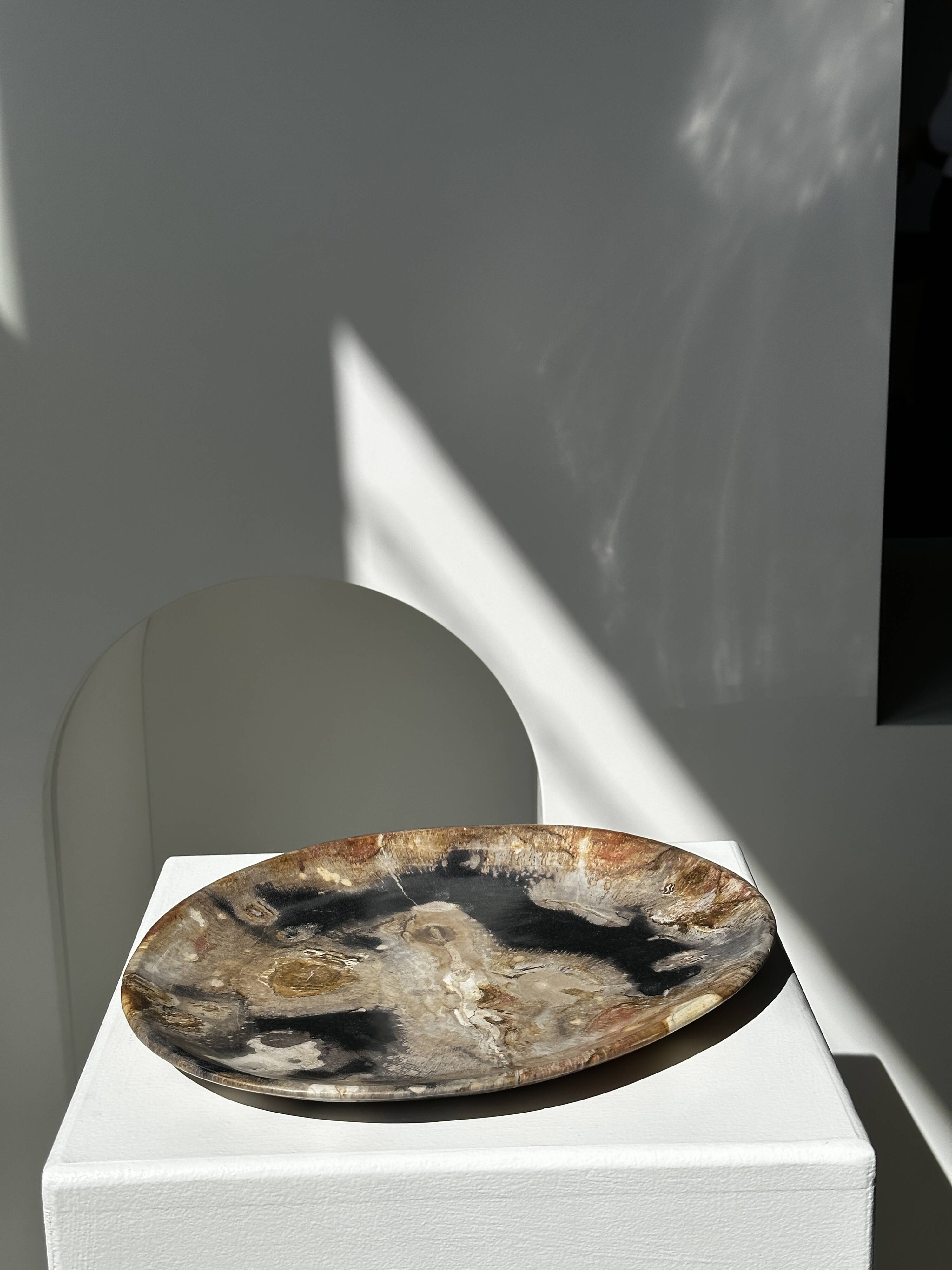 Large empty pocket or dish in petrified wood