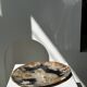 Large empty pocket or dish in petrified wood