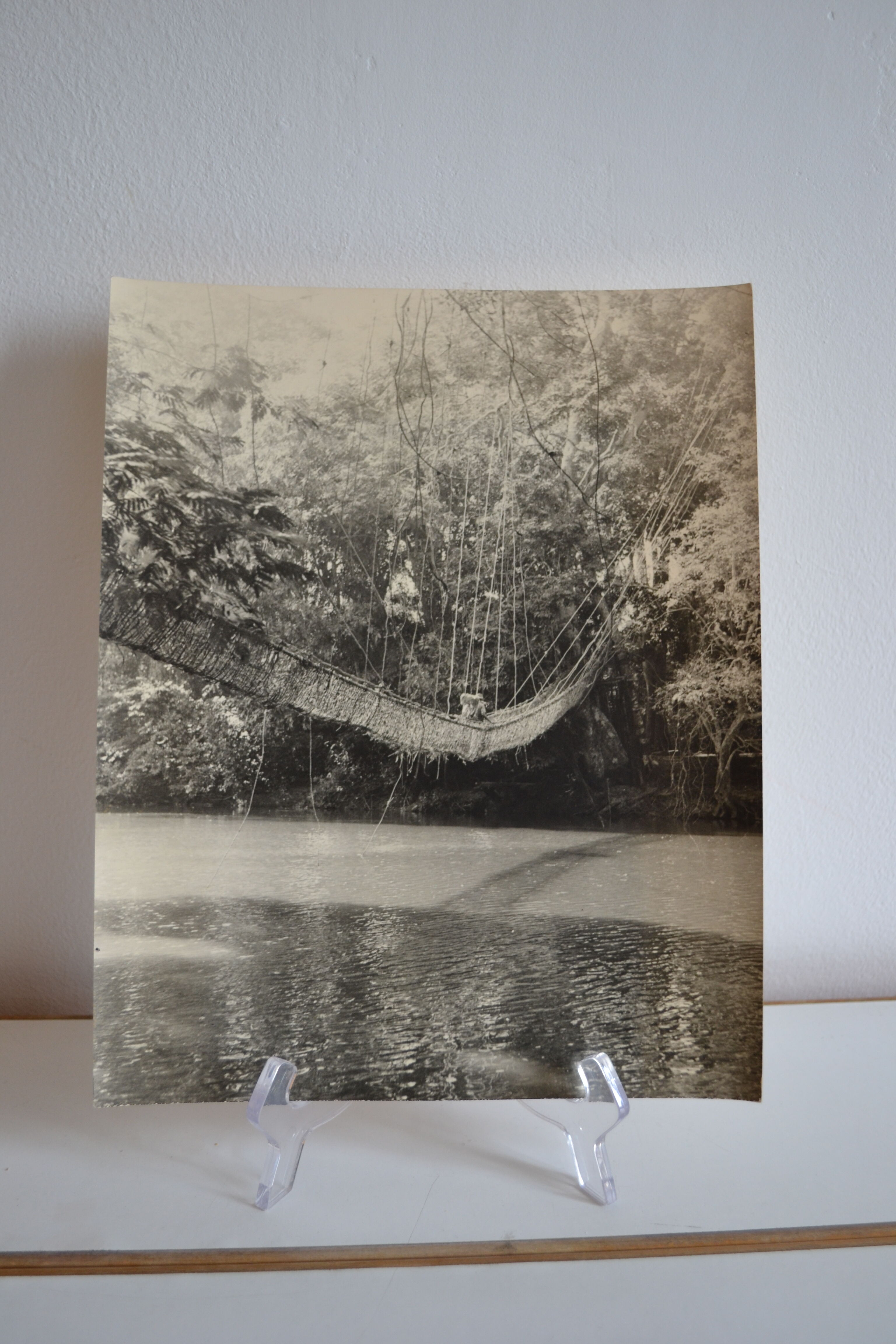 Anonymous silver photo africa gabon lianes bridge circa 1970