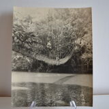 Anonymous silver photo africa gabon lianes bridge circa 1970