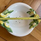 Double lemon slushie fruit bowl Italy