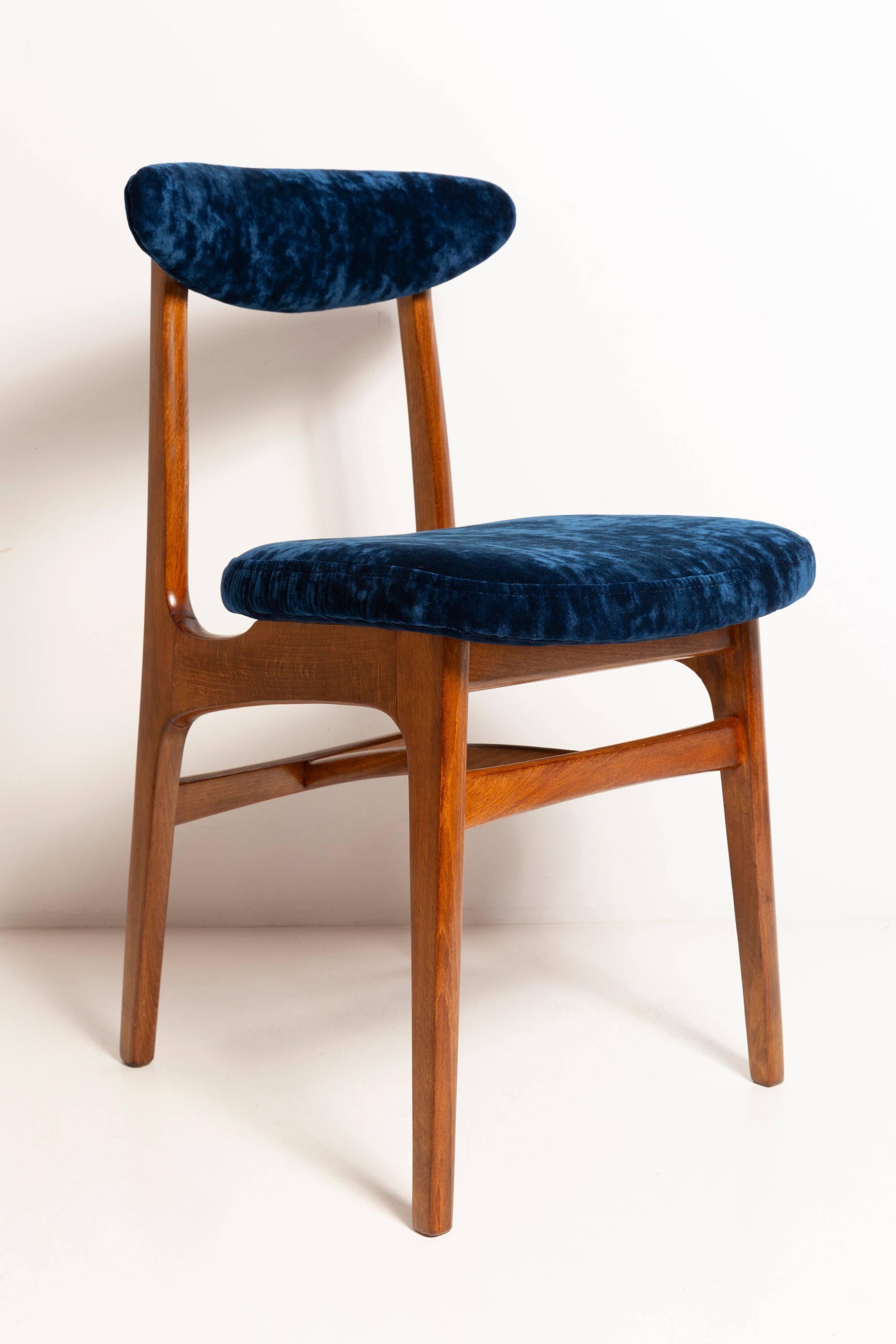 Mid-Century Chair in Navy Blue Velvet, Walnut Wood, Rajmund Halas, 1960s