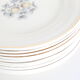 Dessert plates, set of 10, Ceranord Saint Amand
