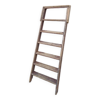 Old farm ladder
