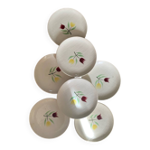 7 crocus dessert plates from Salins.