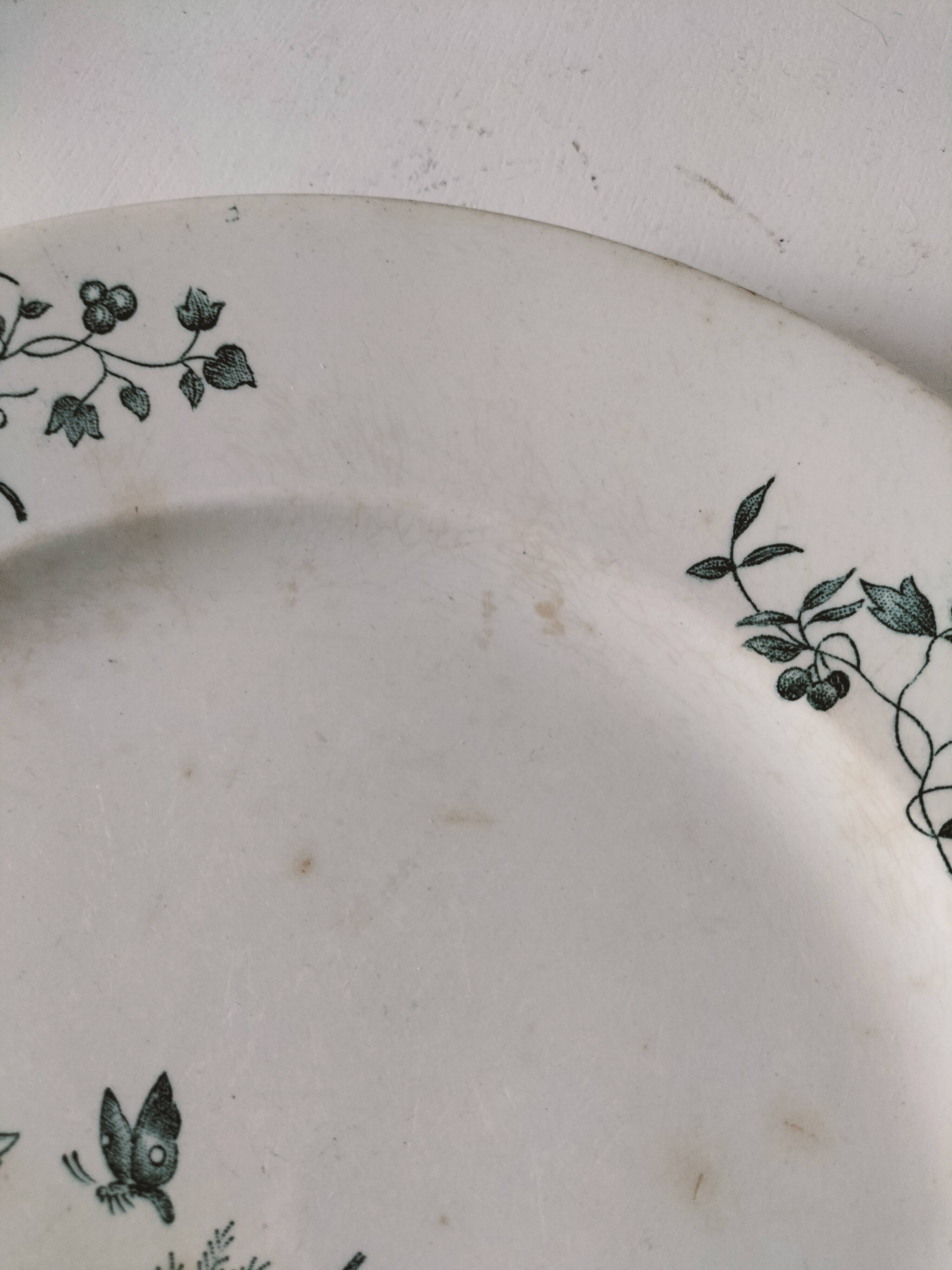 Longwy Mignon Duo – dinner plate and dessert