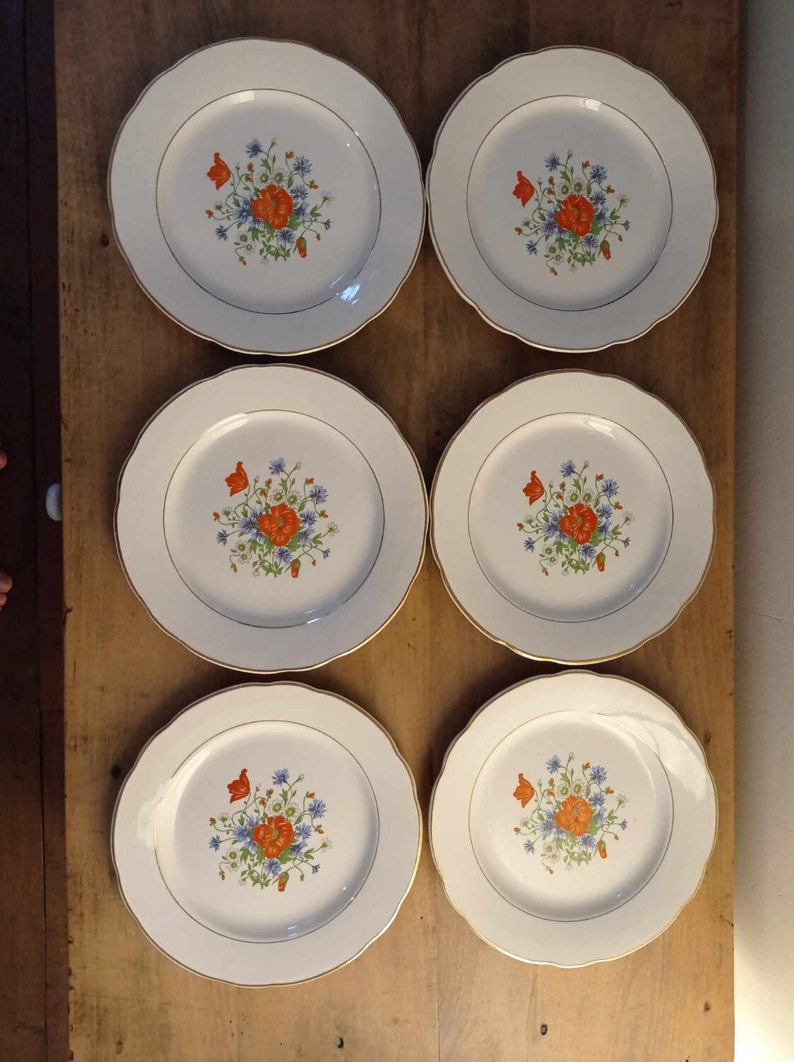 Assiettes plates Digoin Sarreguemines