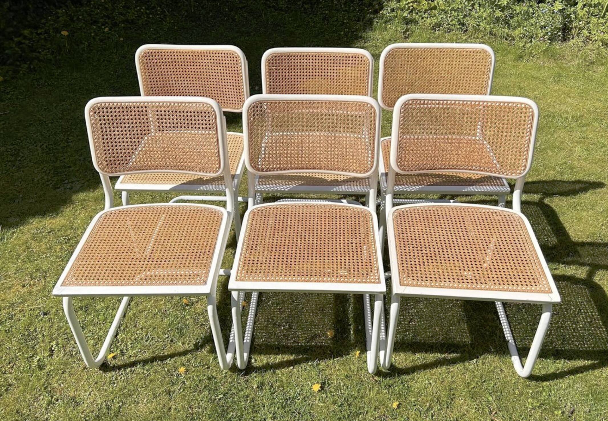 6 chaises Cesca