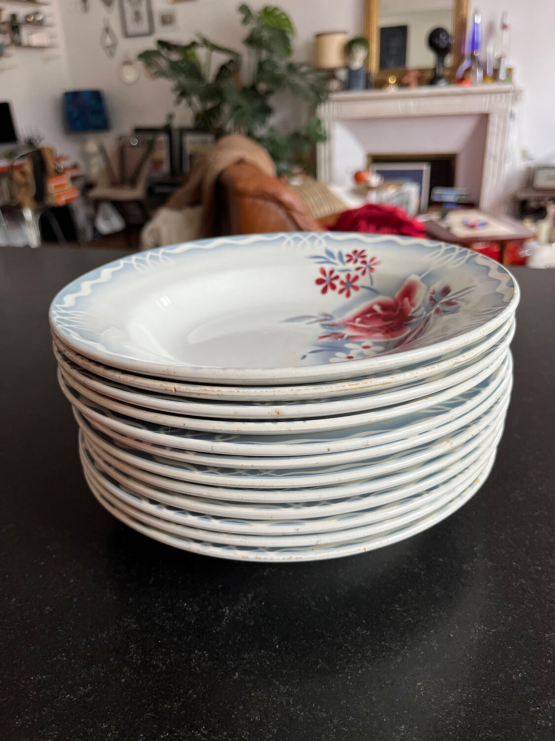 12 plates Digoin Sarreguemines Olga