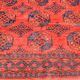 Oriental carpet Boukhara Turkmen Afghanistan: 350 x 255 cm