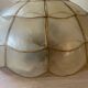 Vintage mother-of-pearl ceiling light