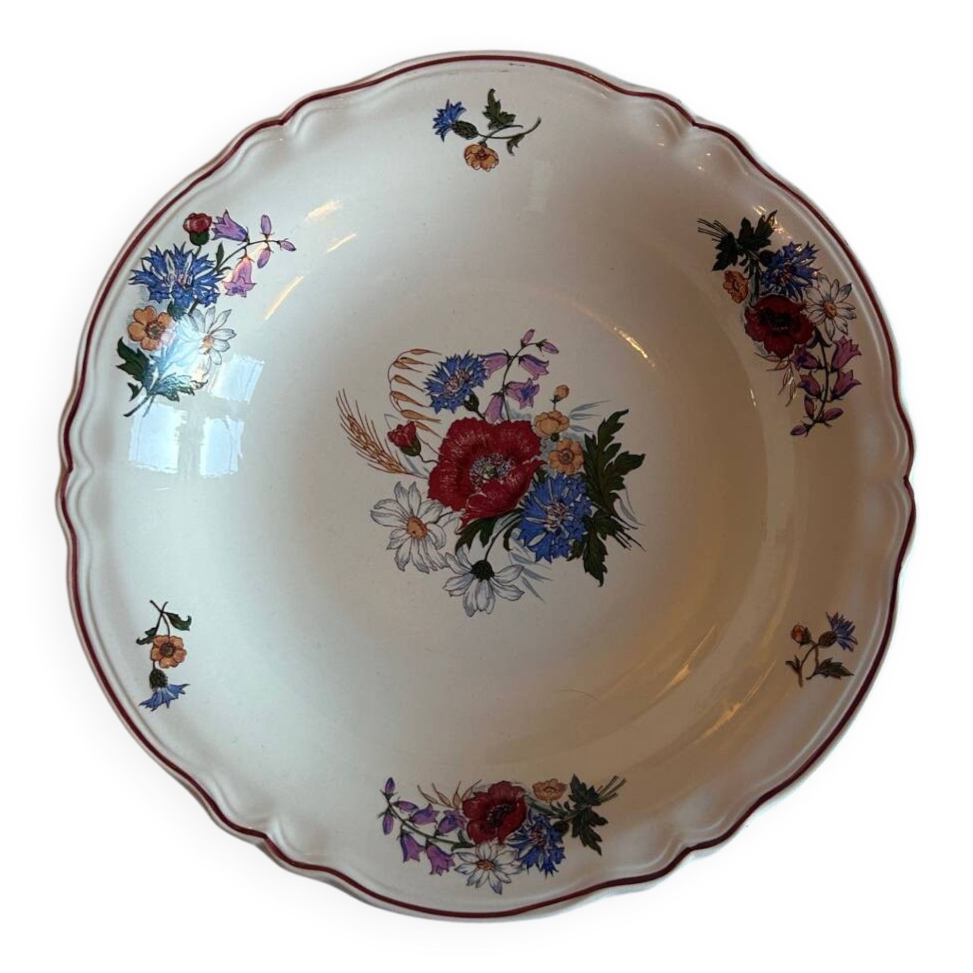 Large antique fine earthenware plate – Sarreguemines – Aigreste decoration