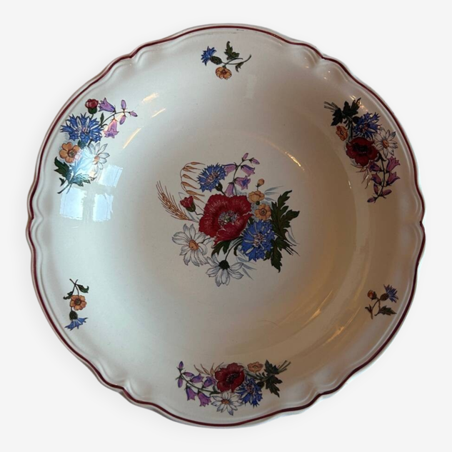 Large antique fine earthenware plate – Sarreguemines – Aigreste decoration