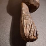 Mask of the diviner from West Africa