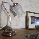 Swan neck lamp and frosted glass tulip