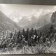 Bernard Darot silver gelatin photograph, 20th century, mountain flowers