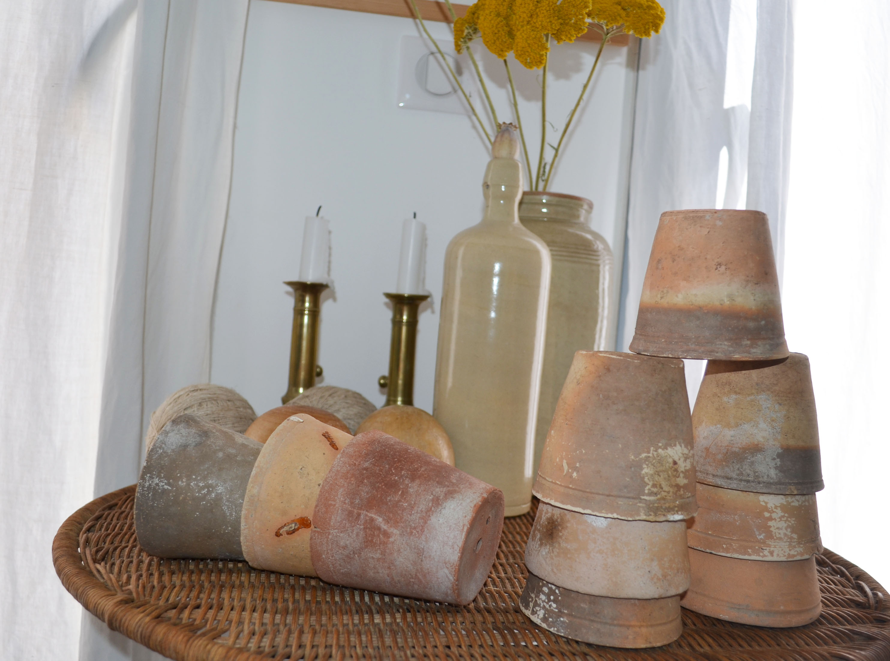 10 terracotta seedling pots