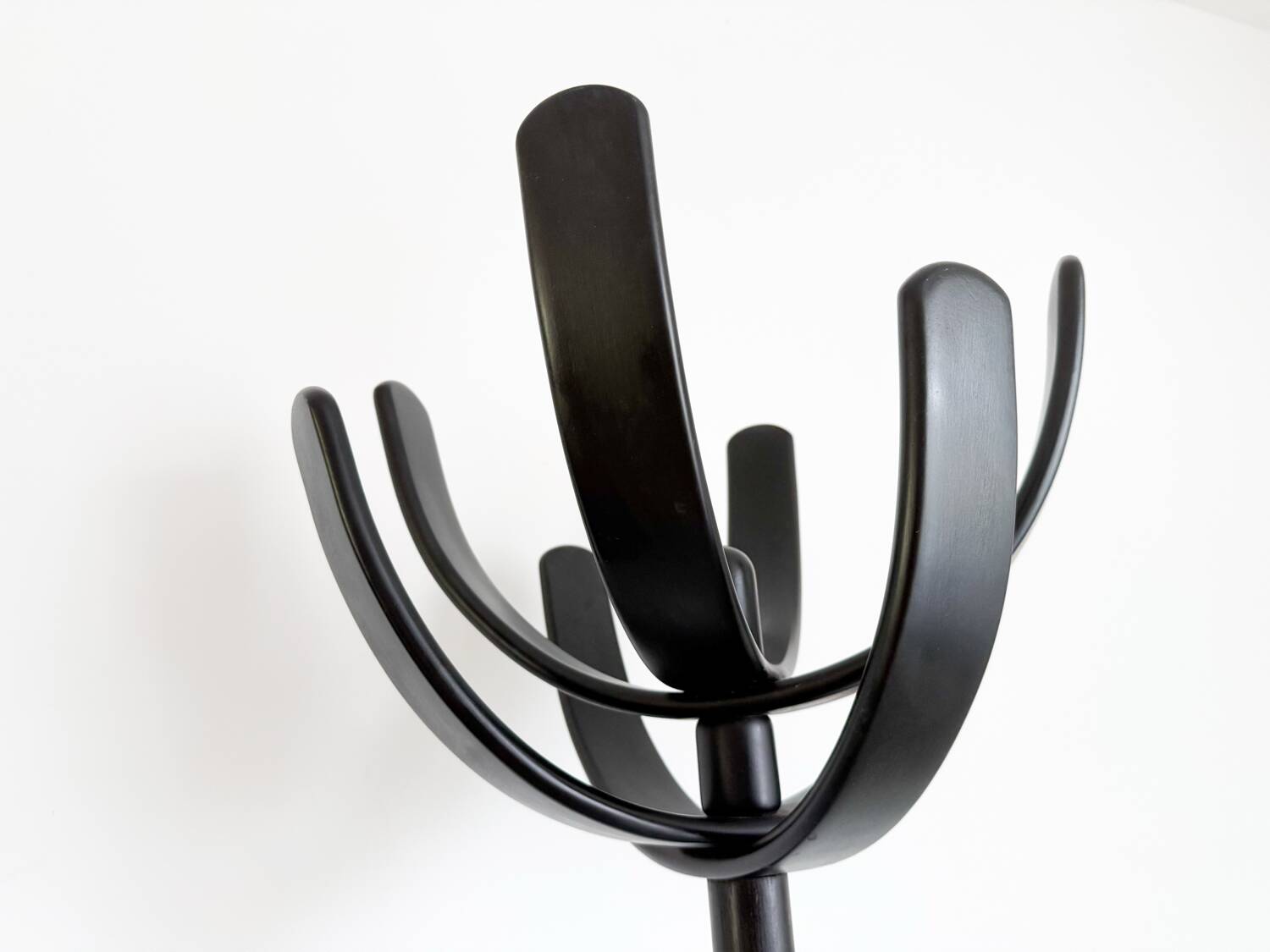 Cactus coat rack by Mauro Pasquinelli, Italy 2970