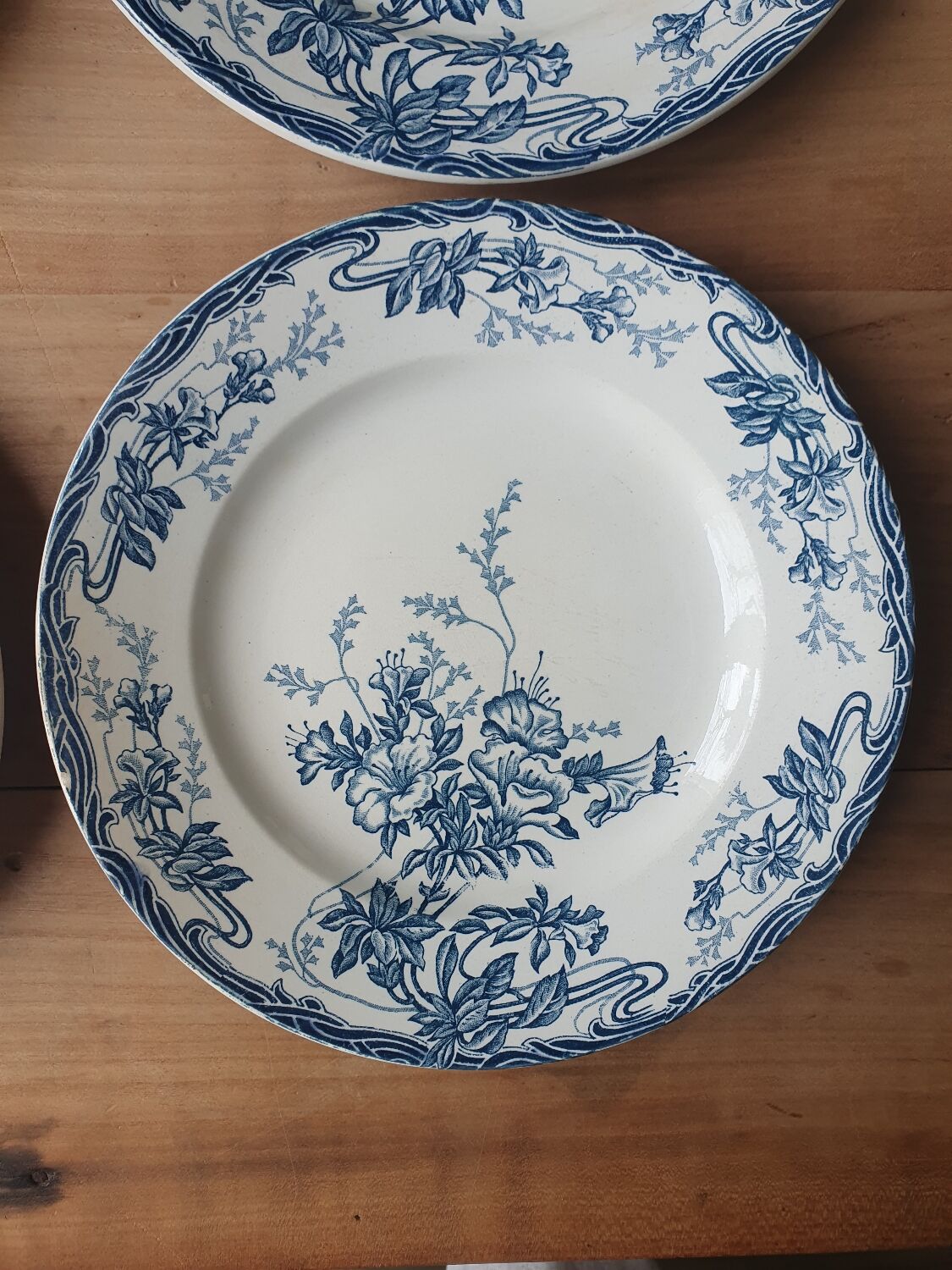 Longwy Azalea plates