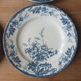 Longwy Azalea plates
