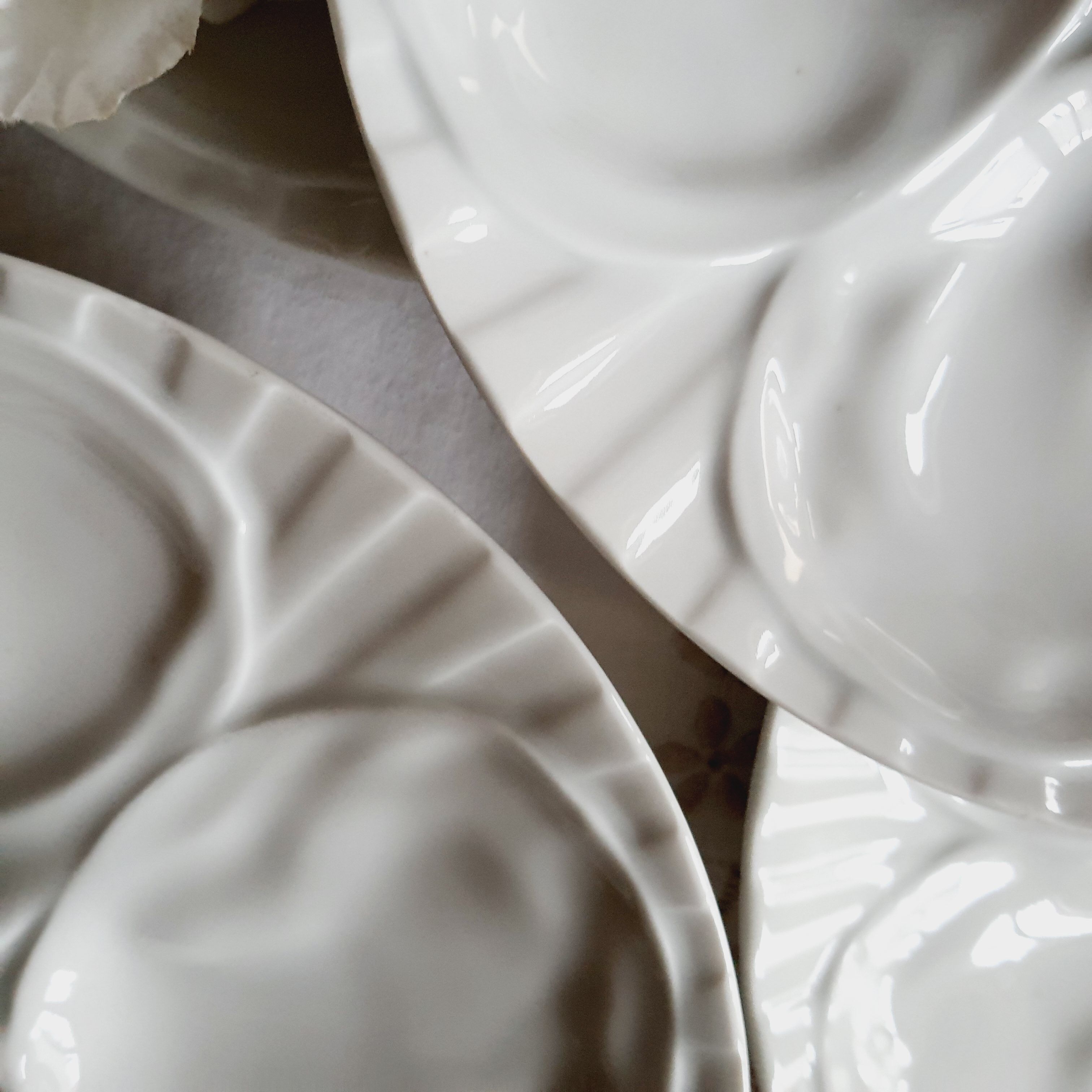 Set of 9 oyster porcelain plates