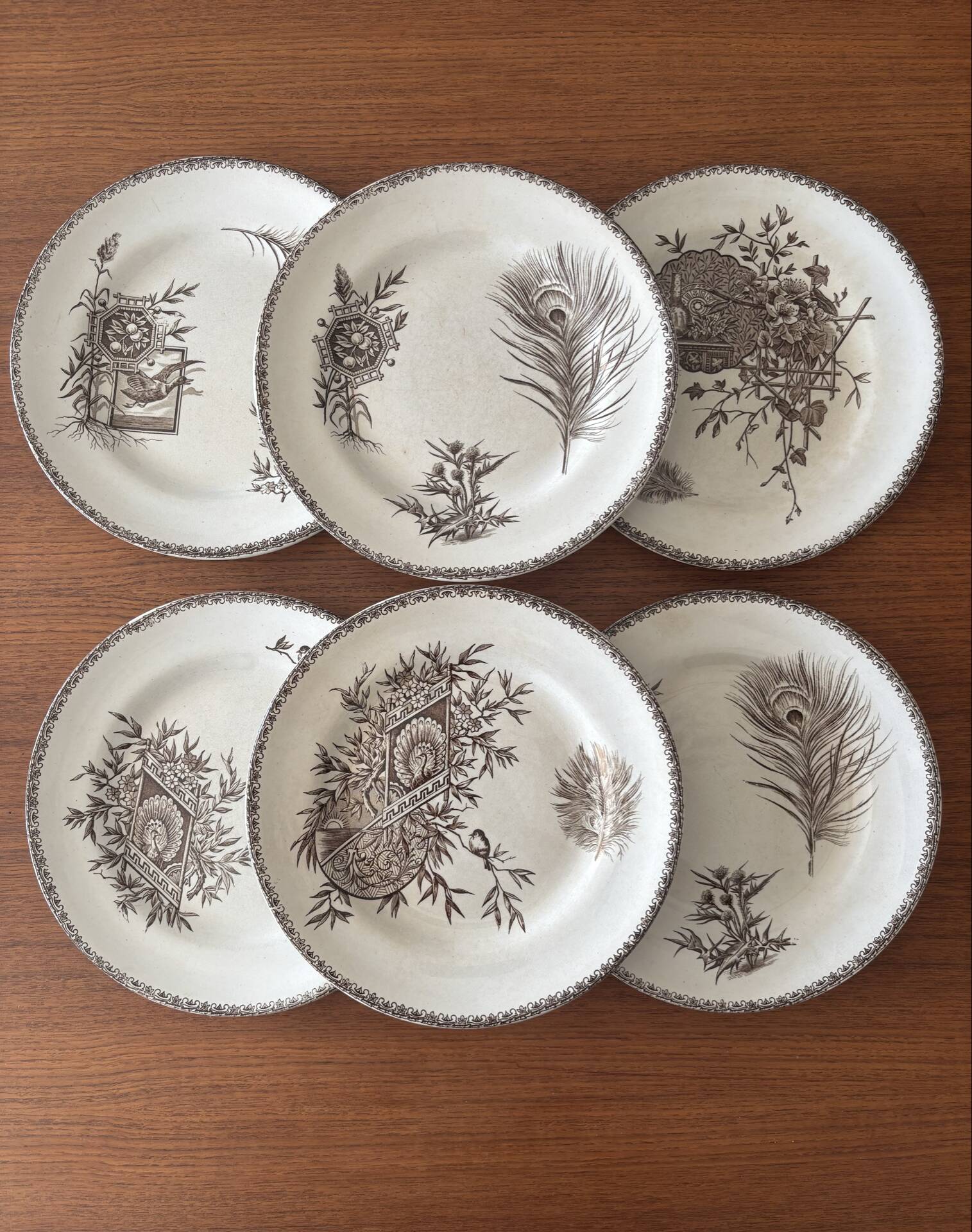 6 ironstone sepia plates | Grand Depot of Porcelains & Earthenware