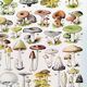 Poster about "Amanita" mushrooms, based on a 1928 lithograph