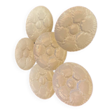 Set of 6 vintage oyster plates