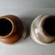 Pair of Germany vases, natural tones