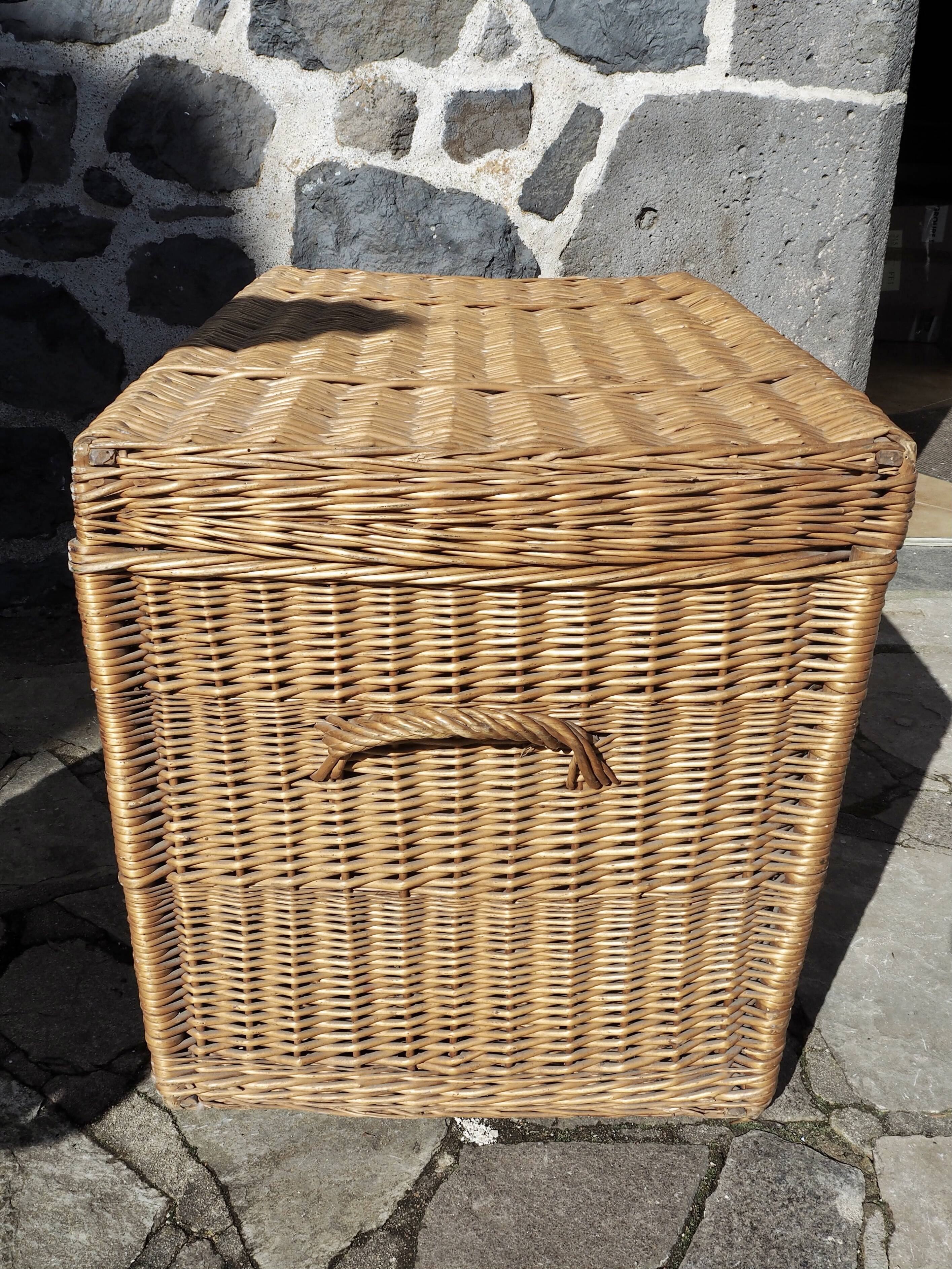 XXL wicker trunk