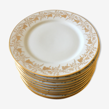 Set of 11 golden dessert plates