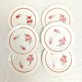 6 flat plates St-Amand Ceranord