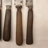 12 couteaux anciens manche en corne