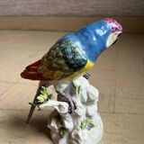 Perroquet en porcelaine de messen