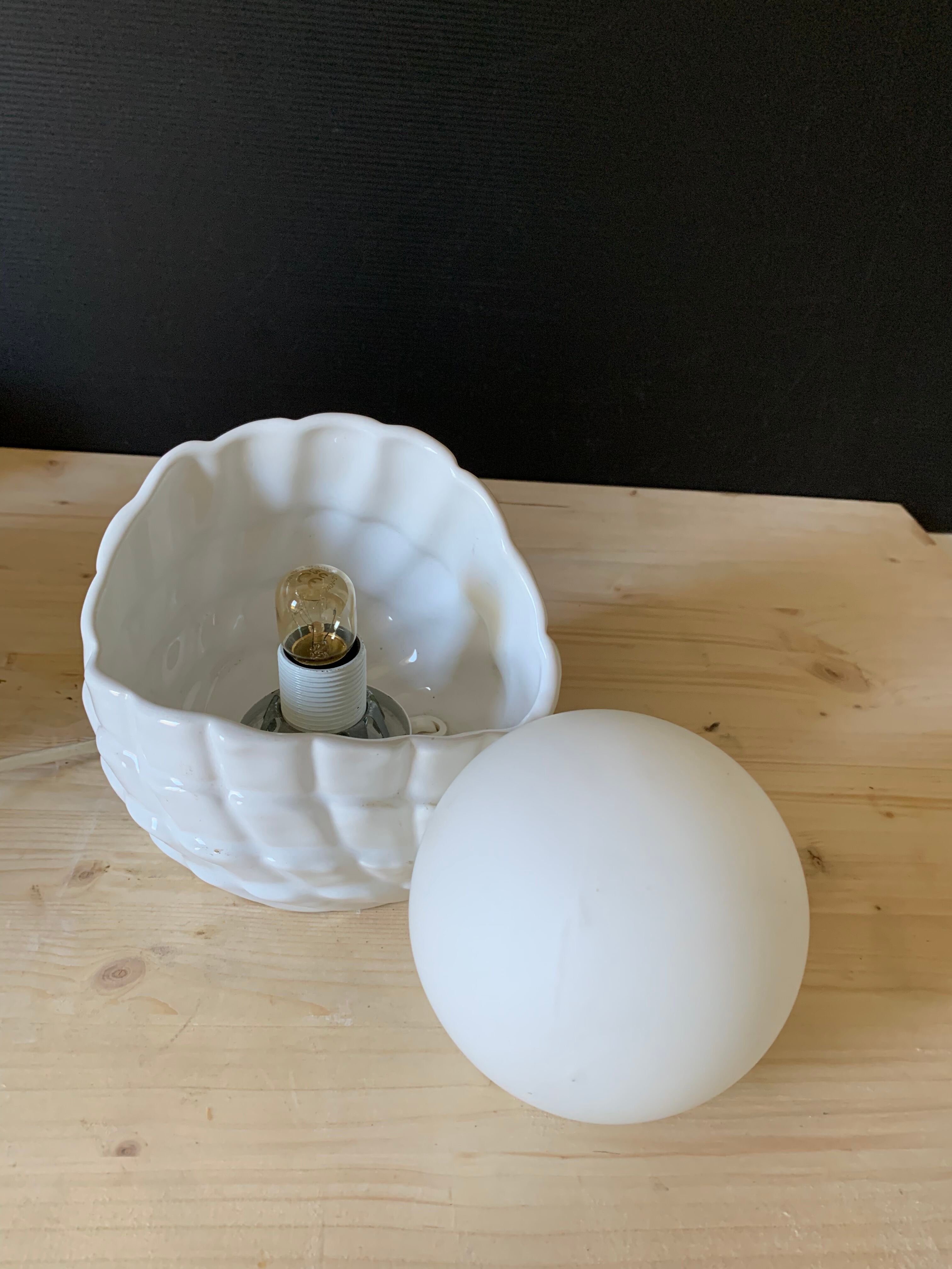 Shell lamp