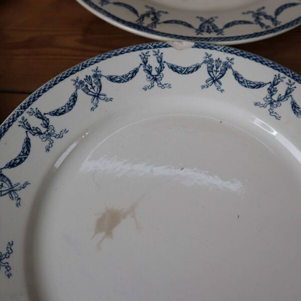 Lot de 8 assiettes plates terre de fer ''Les Termes'' Sarreguemines et Digoin