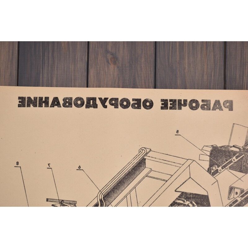 Double sided educational print