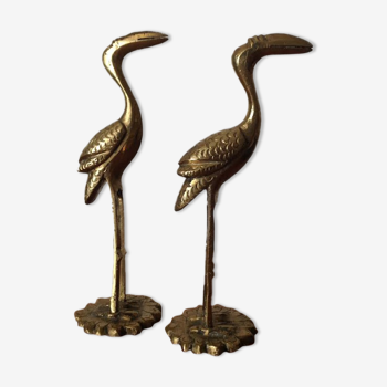 Pair of bird