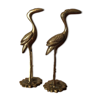 Pair of bird